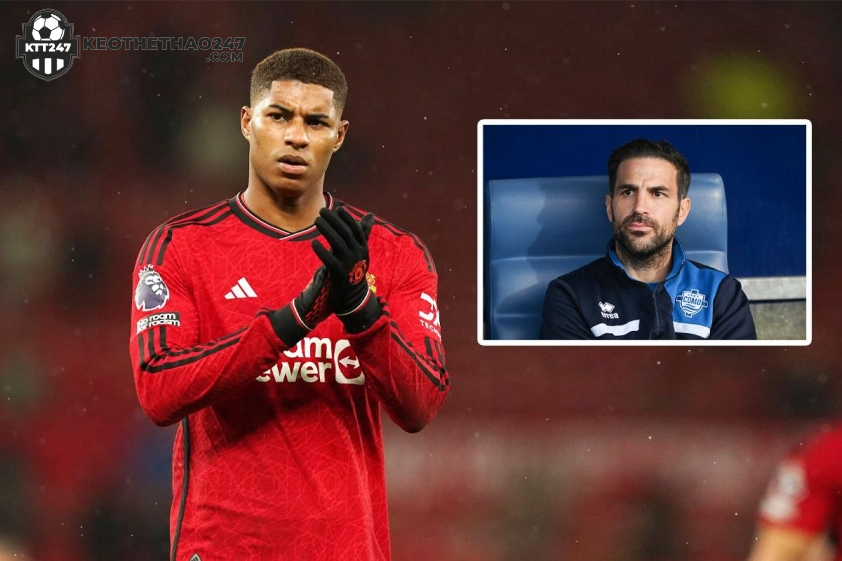 Cesc Fabregas muốn chiêu mộ Marcus Rashford theo dạng cho mượn.